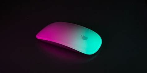 Is the magic mouse woryh it